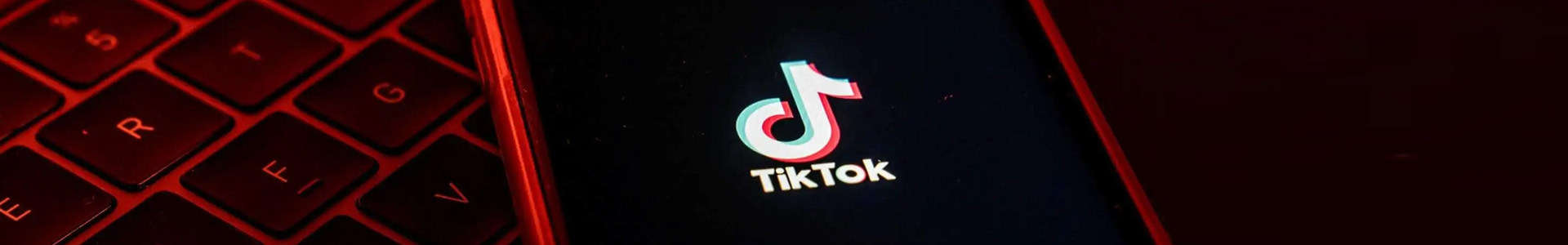 惠州Tiktok推广  第2张